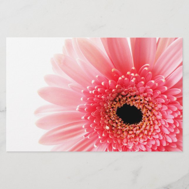 Papelaria Margarida Gerbera (Frente)