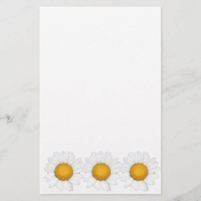 Papelaria Margaridas (Frente)