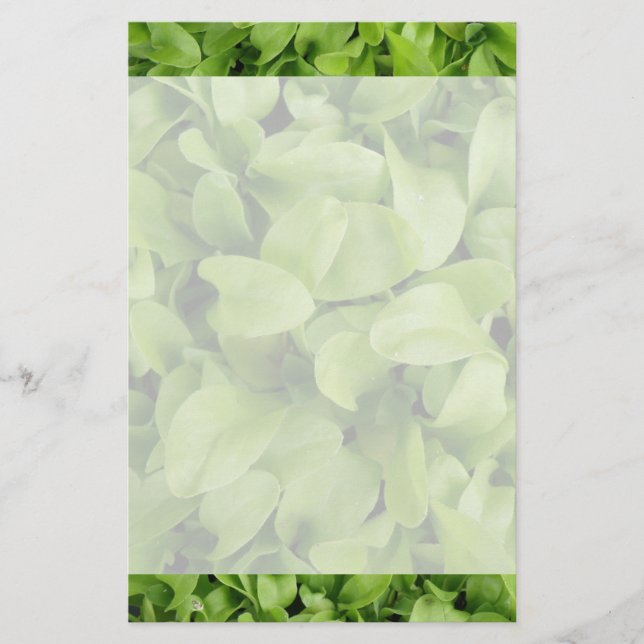 Papelaria Marigold Seedlings (Frente)