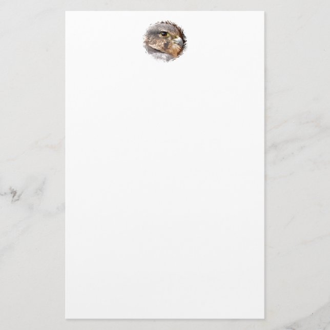 PAPELARIA MERLIN FALCON BIRD OF PREY (Frente)