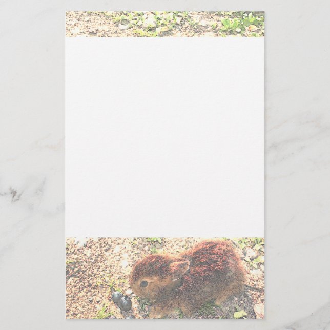 Papelaria MIM COELHOS DE LUV! Bonito (Frente)