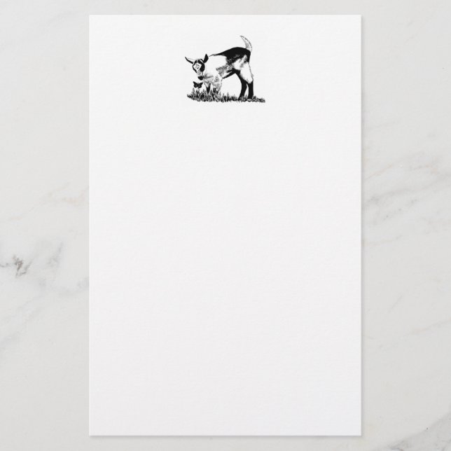 Papelaria Miúdo alpino (Frente)