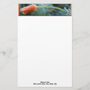 Papelaria Morning Frost California Poppy Photo Custom