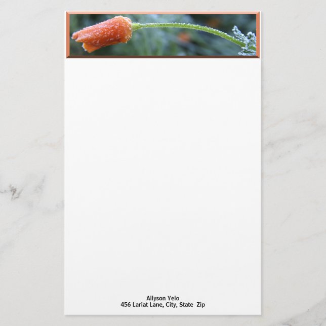 Papelaria Morning Frost California Poppy Photo Custom (Frente)