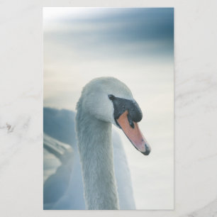 Papelaria Mute Swan - Foto