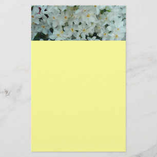 Papelaria Narciso Branco Delicado de Paperwhite Flores