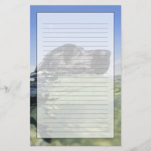 Papelaria Natação do cão na água