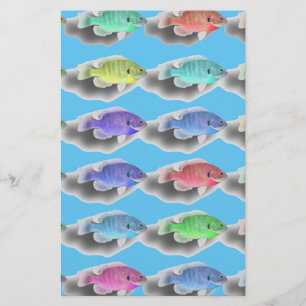 Papelaria Natação dos peixes