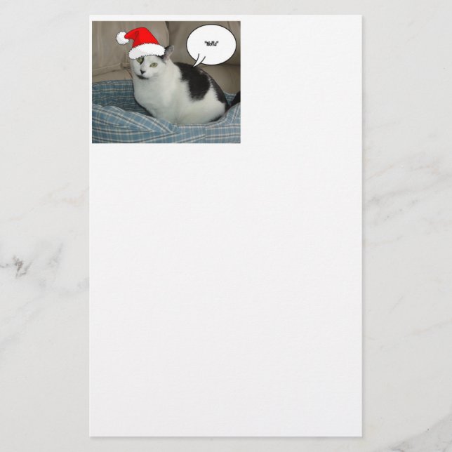 Papelaria Natal Black and White Kitten (Frente)