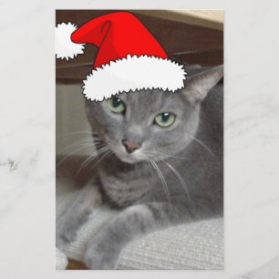 Papelaria Natal de Gato Azul Russo