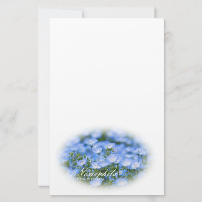 Papelaria NEMOPHILA（Baby Blue Eyes） (Frente)