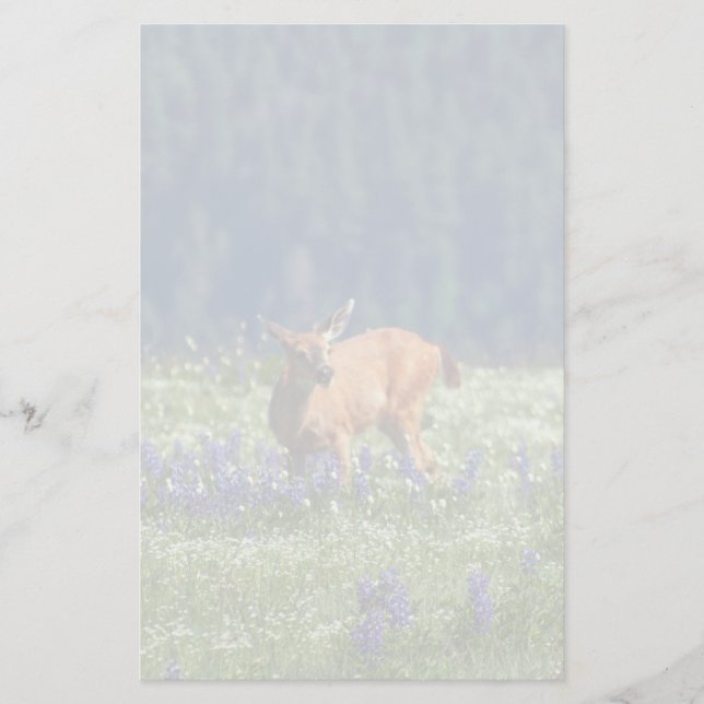 Papelaria No campo (Frente)