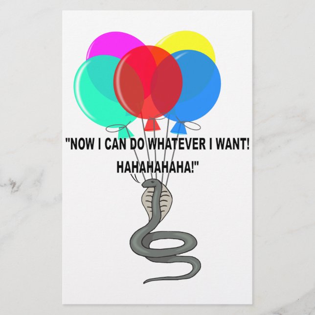 Papelaria O Cobra Voador (Frente)