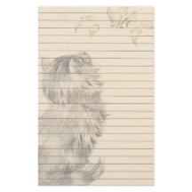 O gatinho que olha os pássaros