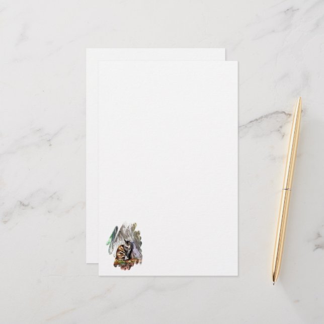 PAPELARIA O GATO (Frente/Verso In Situ)