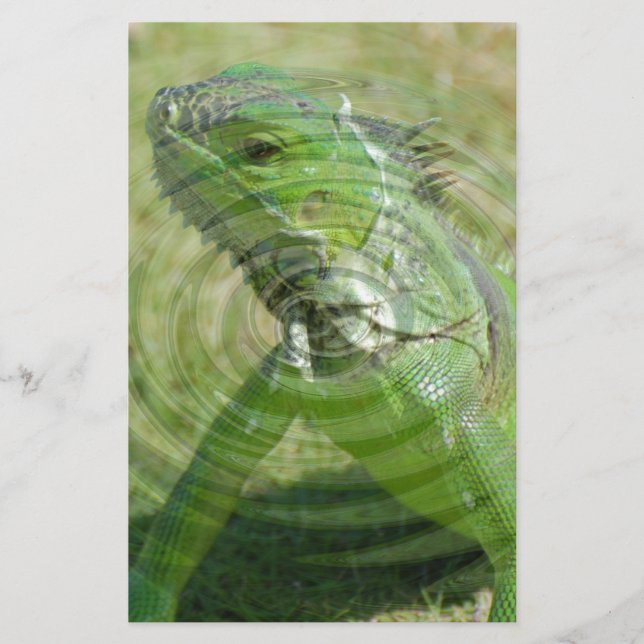 Papelaria O Iguana Verde (Frente)