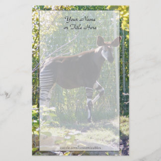 Papelaria Okapi