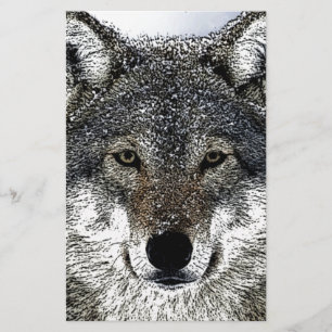 Papelaria Olhos de Lobo