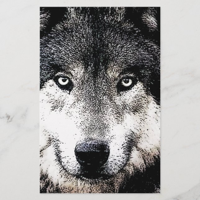 Papelaria Olhos de Lobo (Frente)