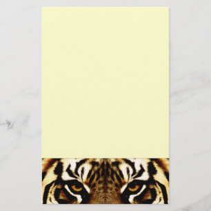 Papelaria Olhos de um tigre