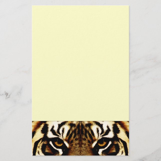 Papelaria Olhos de um tigre (Frente)