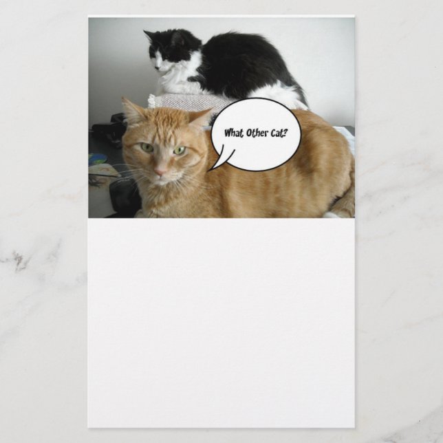 Papelaria Orange Tabby Cat. (Frente)