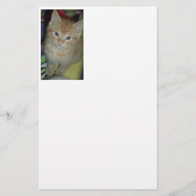 Papelaria Orange Tabby Cat (Frente)