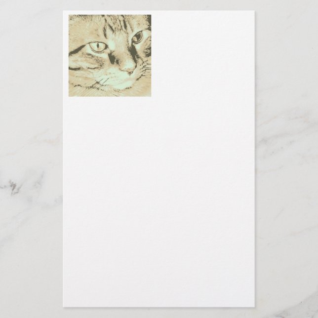 Papelaria Orange Tabby Cat (Frente)