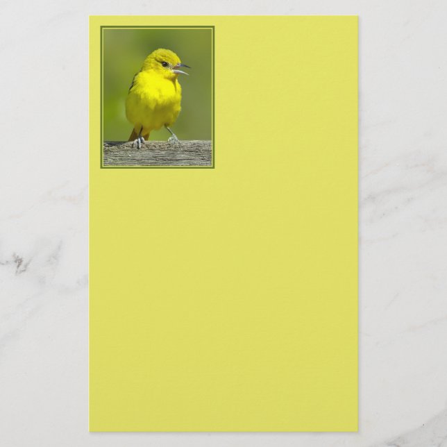 Papelaria Orchard Oriole - Fotografia Original (Frente)