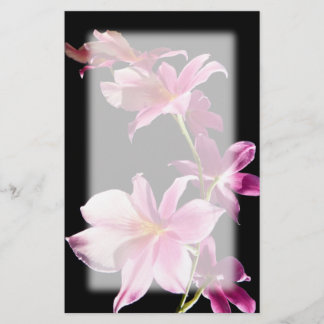 Papelaria Orchid. cor-de-rosa