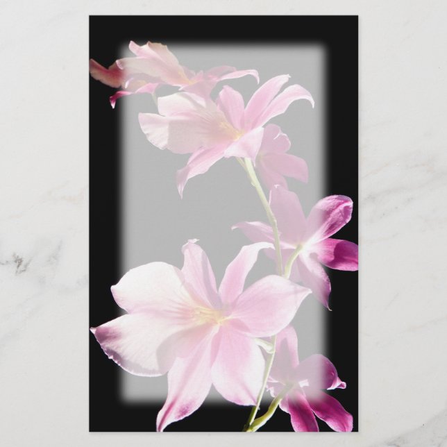 Papelaria Orchid. cor-de-rosa (Frente)