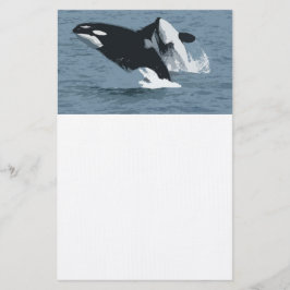 Papelaria Orka Whale