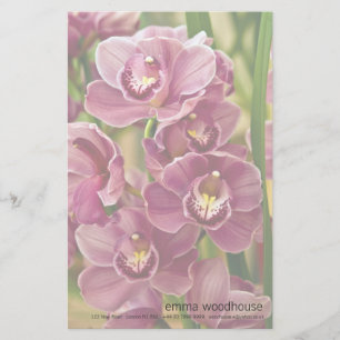 Papelaria Orquídea do Cymbidium