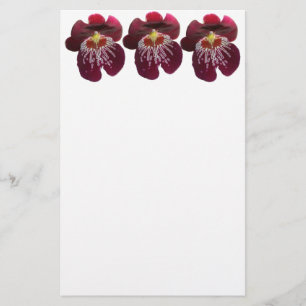 Papelaria Orquídeas Marrons II Floral Elegante