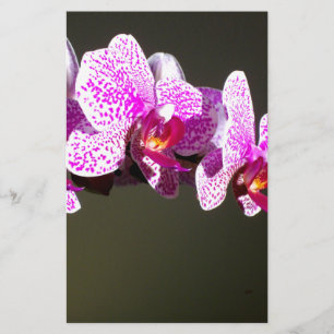 Papelaria Orquídeas rosa, flores tropicais cor-de-rosa