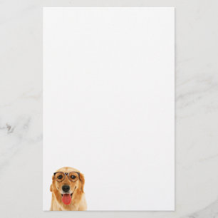Papelaria Ouro engraçado bonito, cão de varejo