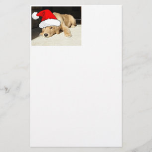 Papelaria Ouro Retriever Natal Puppy