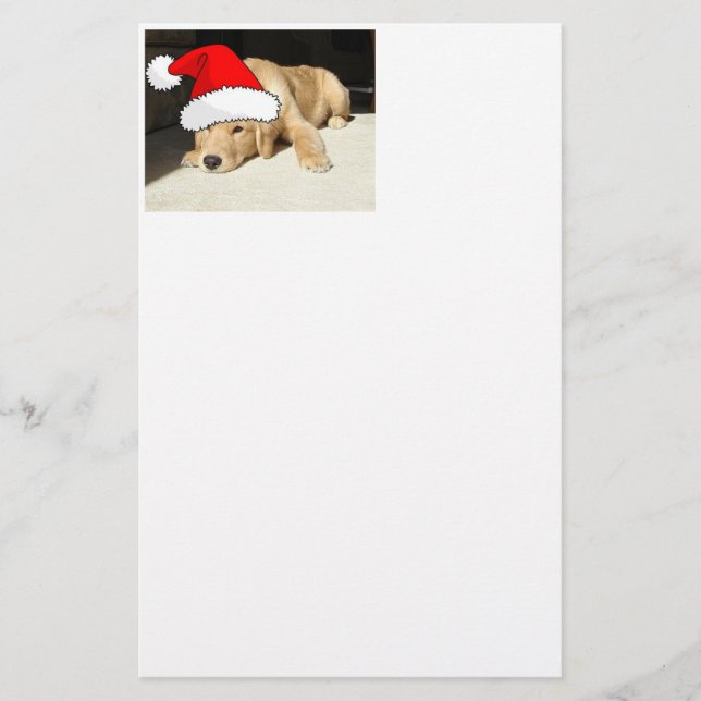 Papelaria Ouro Retriever Natal Puppy (Frente)