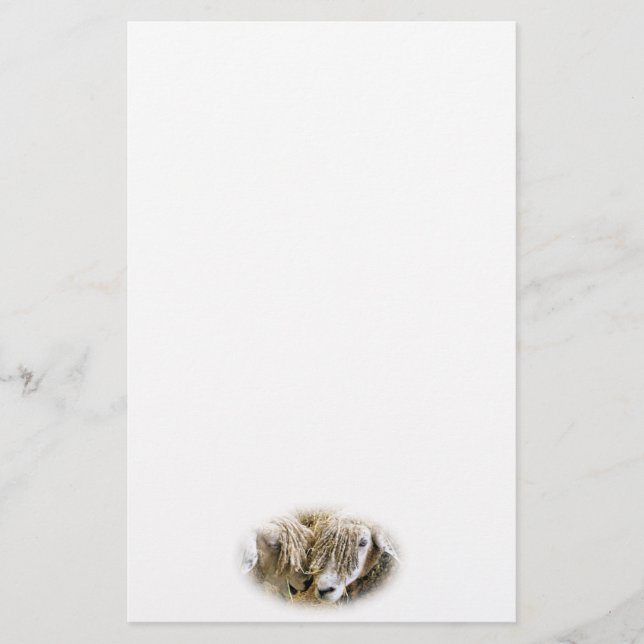 PAPELARIA OVINO (Frente)