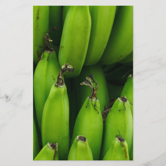 Papelaria Padrão de fruta banana verde (Frente)