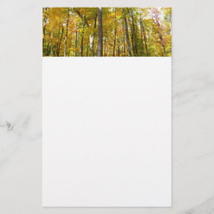 Papelaria Paisagem de outono de Folhas Amarelas na Floresta