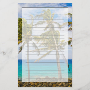 Papelaria Palmeiras de coco (Cocos nucifera)