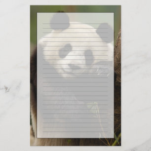 Papelaria Panda-gigante Ailuropoda melanoleuca) Família