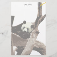 Panda gigante em uma fotografia de zoológico de an