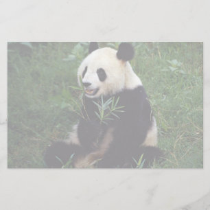 Papelaria Panda gigante, província de Sichuan, China