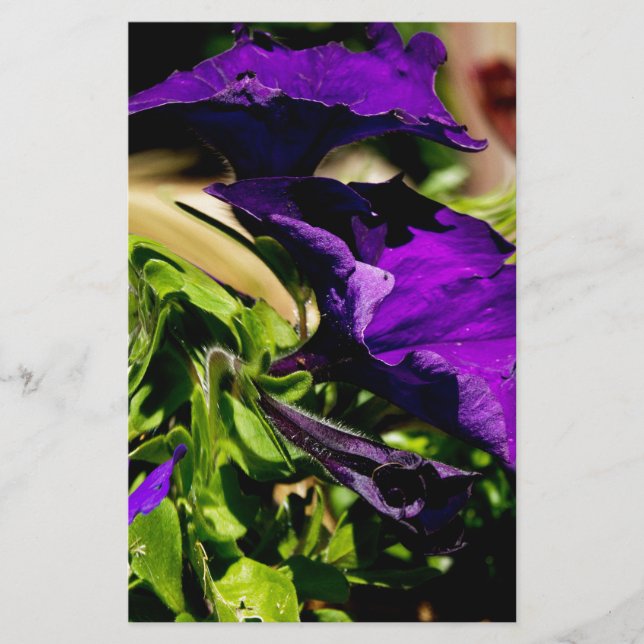 Papelaria Pânico Roxo (Frente)