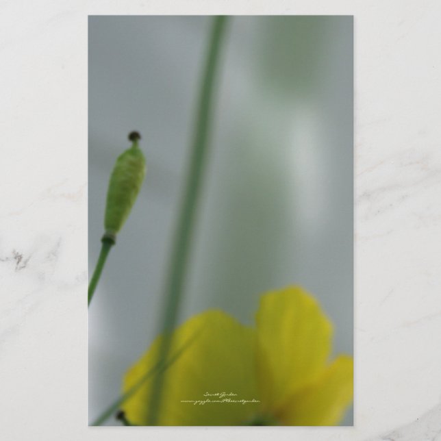 Papelaria Papas Amarelas sombra 12 Papel de Carta Personaliz (Frente)