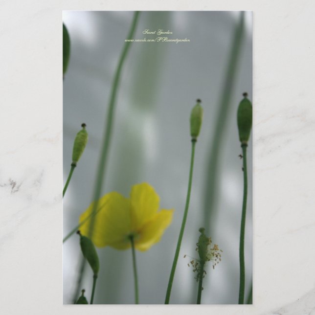 Papelaria Papas amarelas sombra 3 Papel de Carta Personaliza (Frente)