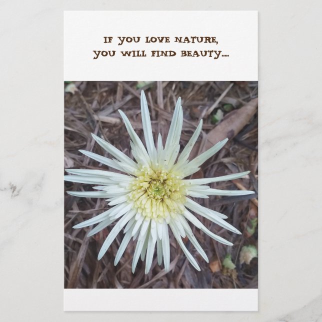 Papelaria Papel de carta (Frente)