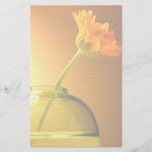 Papelaria Papel de carta 2